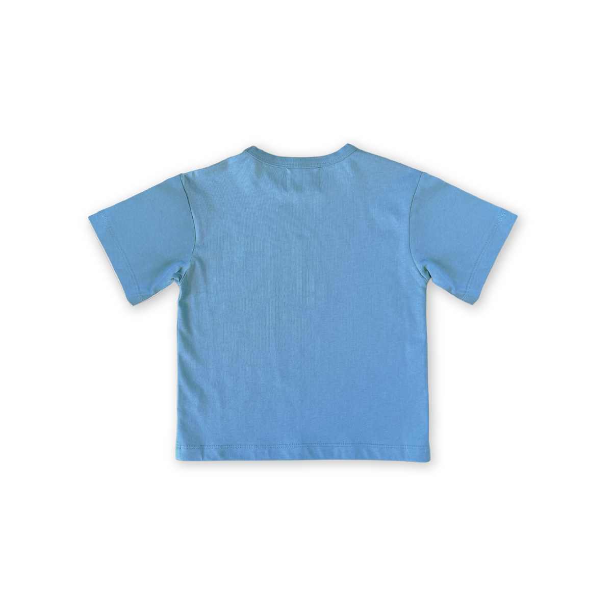 Organic Jersey Tee - Duck Egg